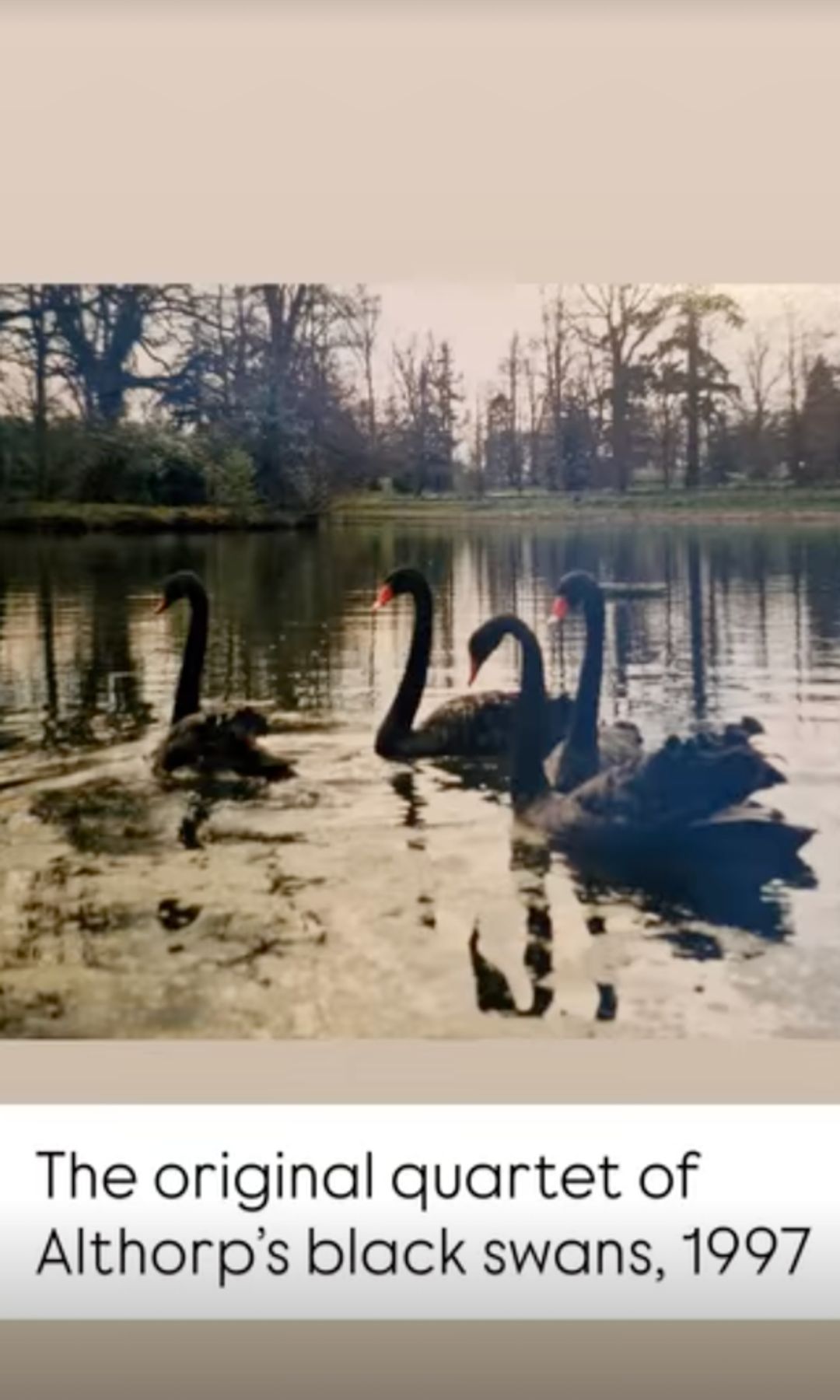 Charles ha compartido una foto antigua de Althorp