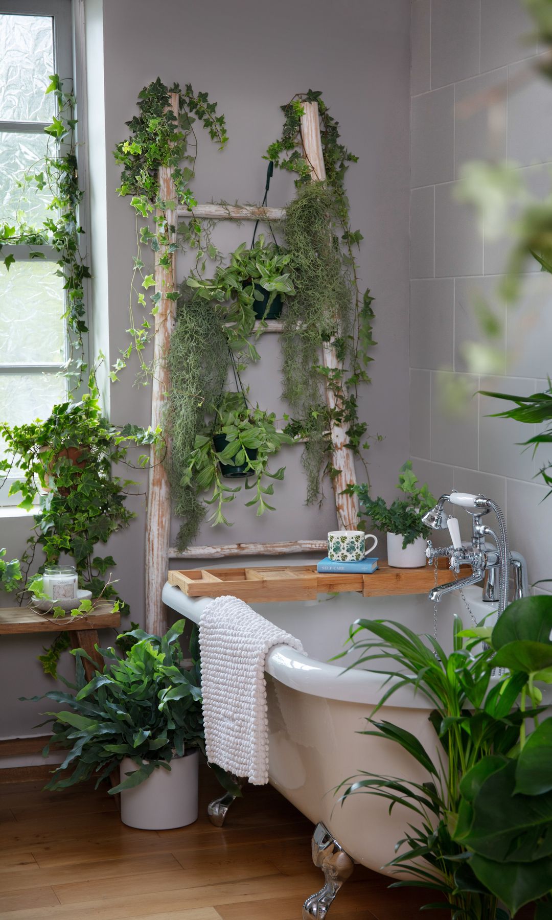 Baño con bañera y plantas colgantes y en el suelo 