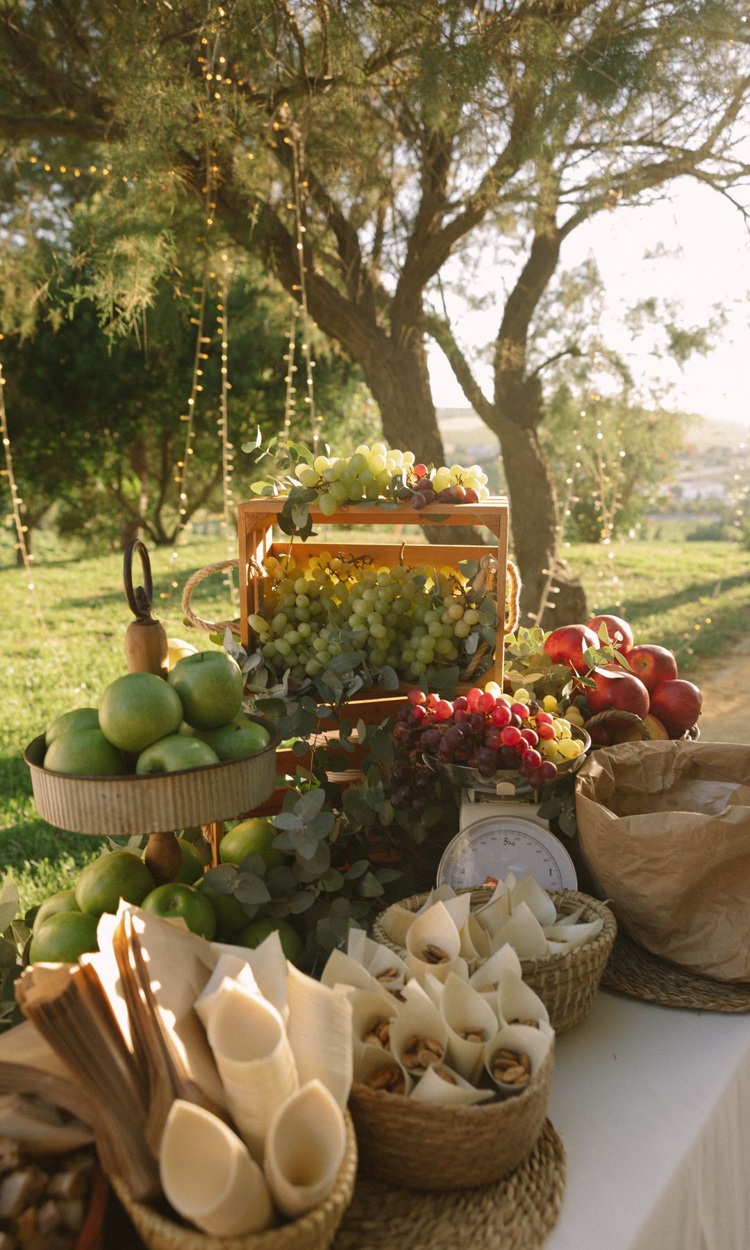Finca Cerro Obregón