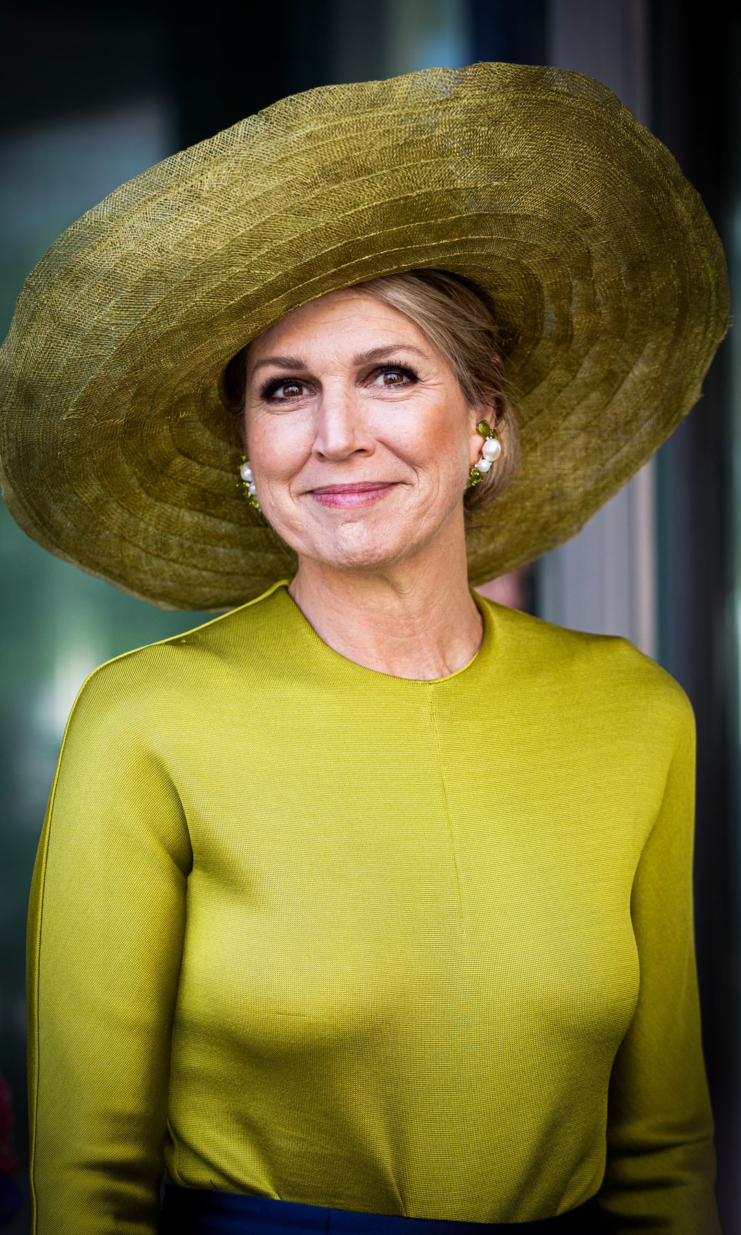 Máxima de Holanda, reina del color