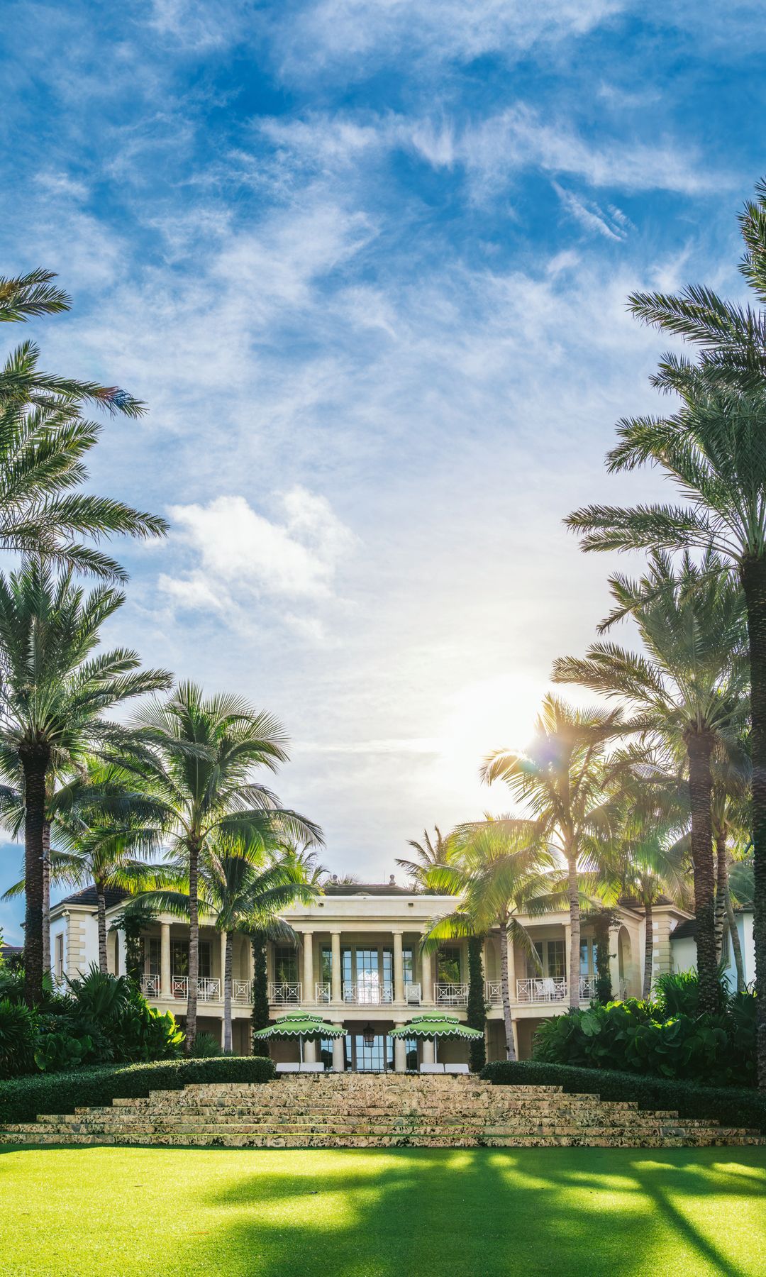 Palmeras altas en el jardin de la entrada de una casa