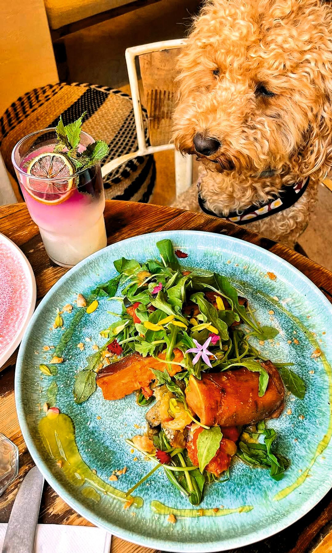 Platos de Superchulo junto a un perro en un local de Madrid.