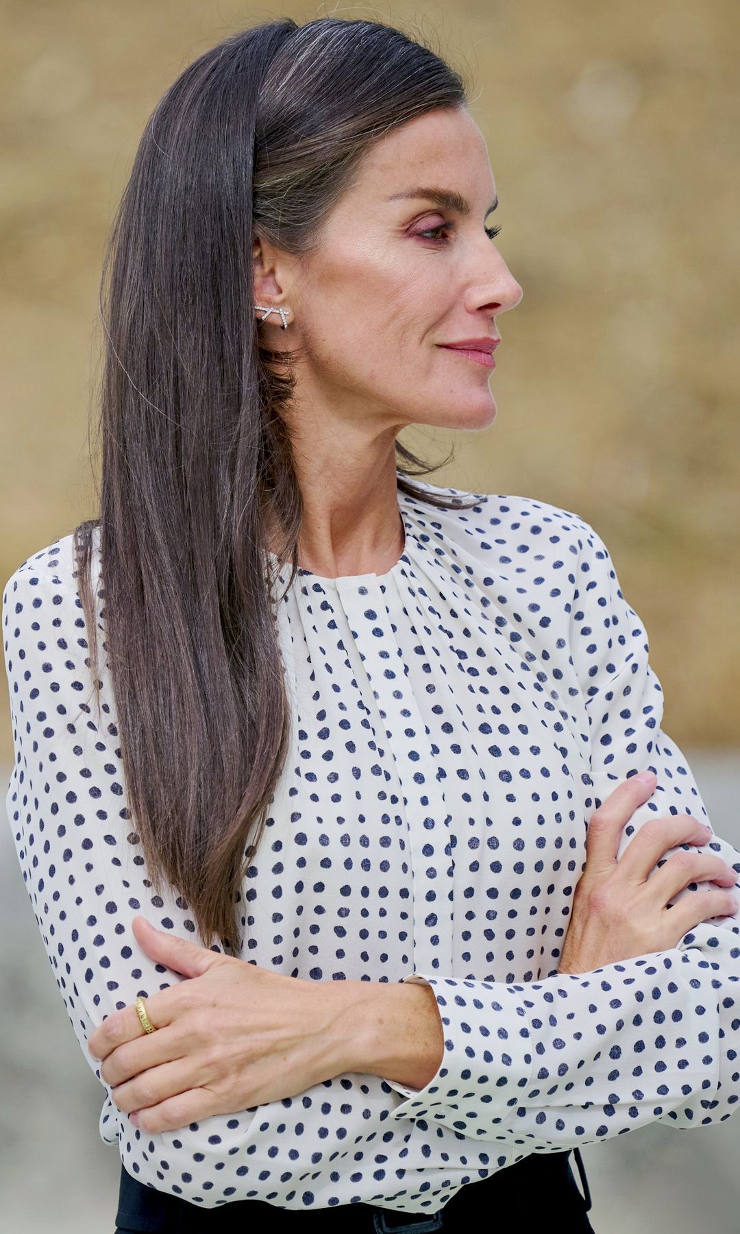 Las manos de la reina Letizia
