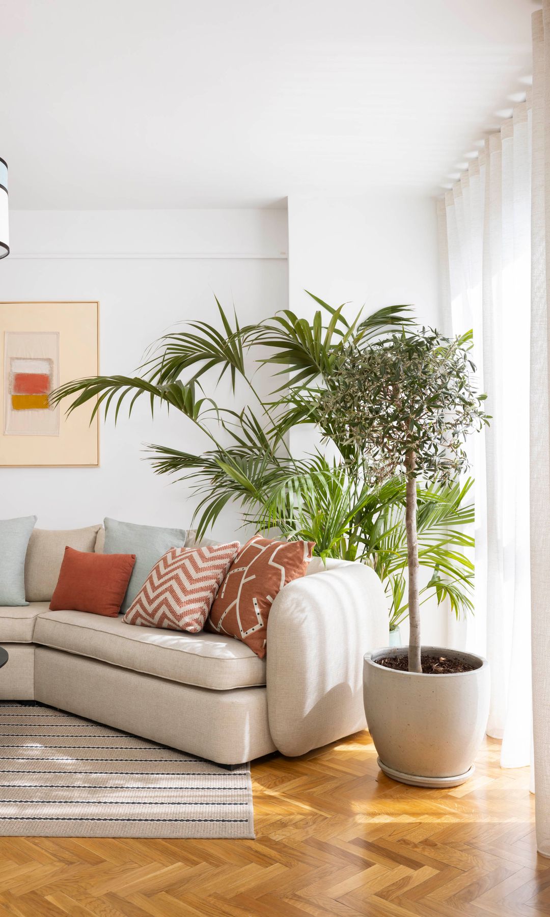Salón con cuadro en la pared del sofá, planta en maceta XL, sofá beige, cojines en tonos tierra, cortinas, alfombra 