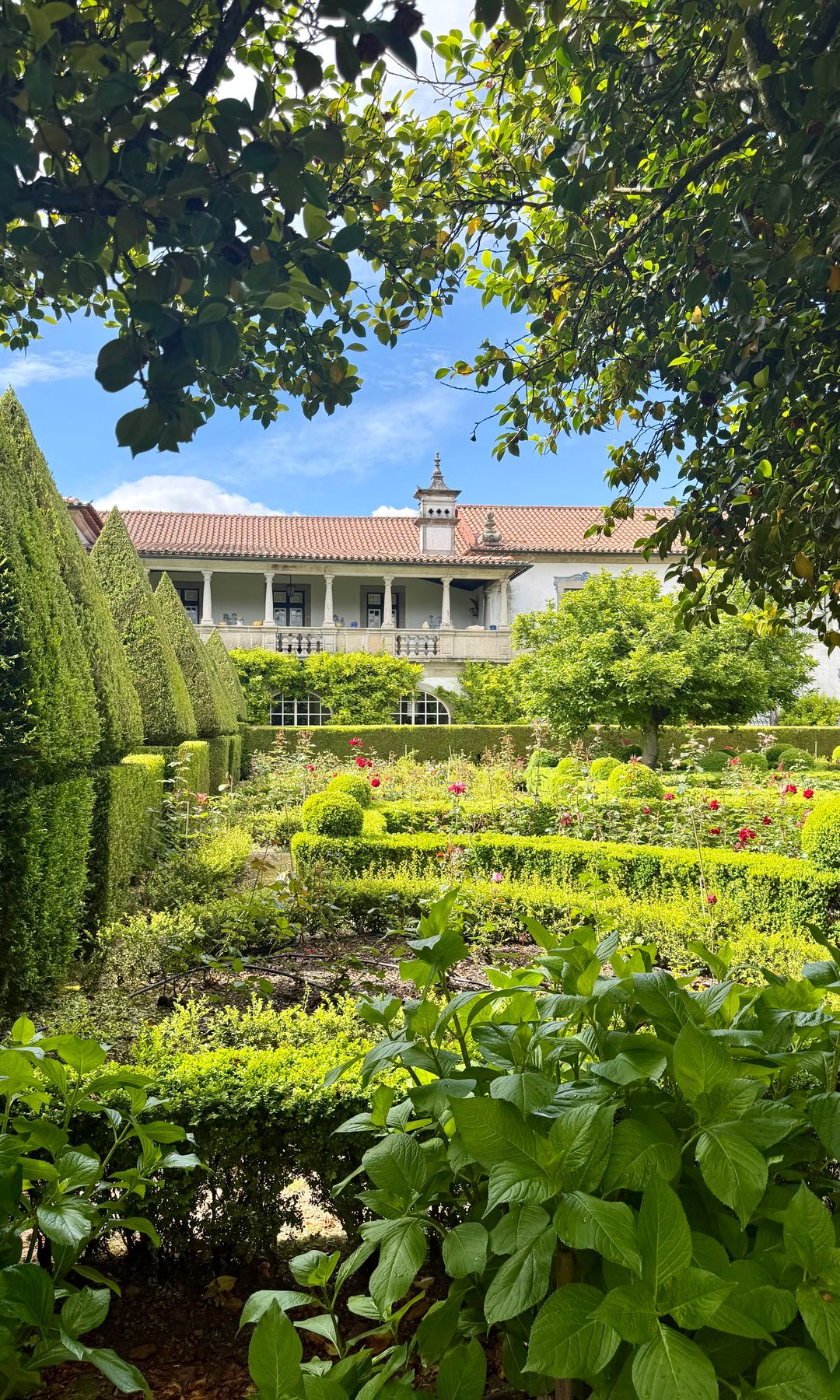 Jardín es el de la Casa de Santar e Magalhaes, Portugal