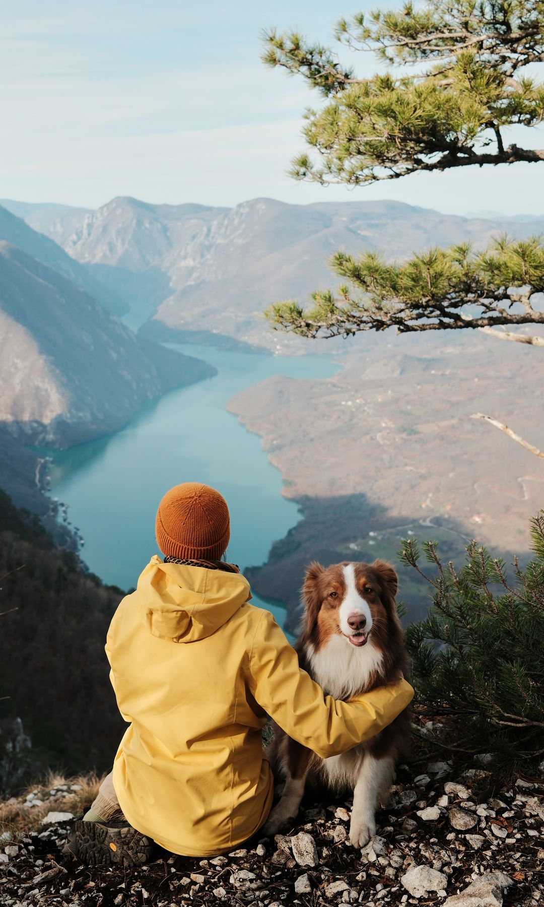 Mujer viajando con su perro