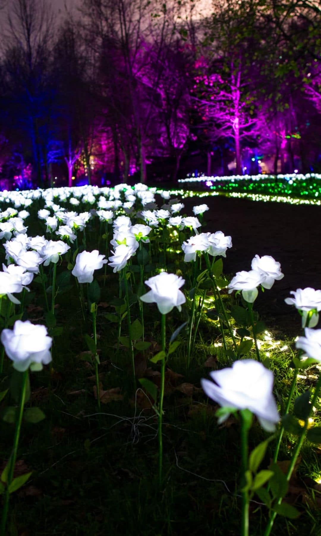 Parque de la Navidad, Cartes, CAntabria