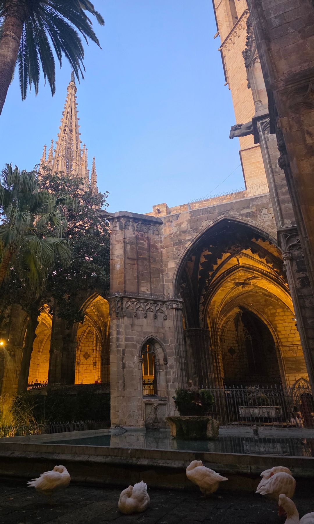 Catedral de Barcelona