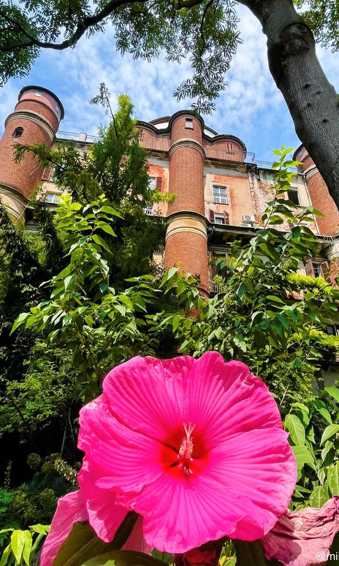 Orto Botanico di Brera, Milán, italia