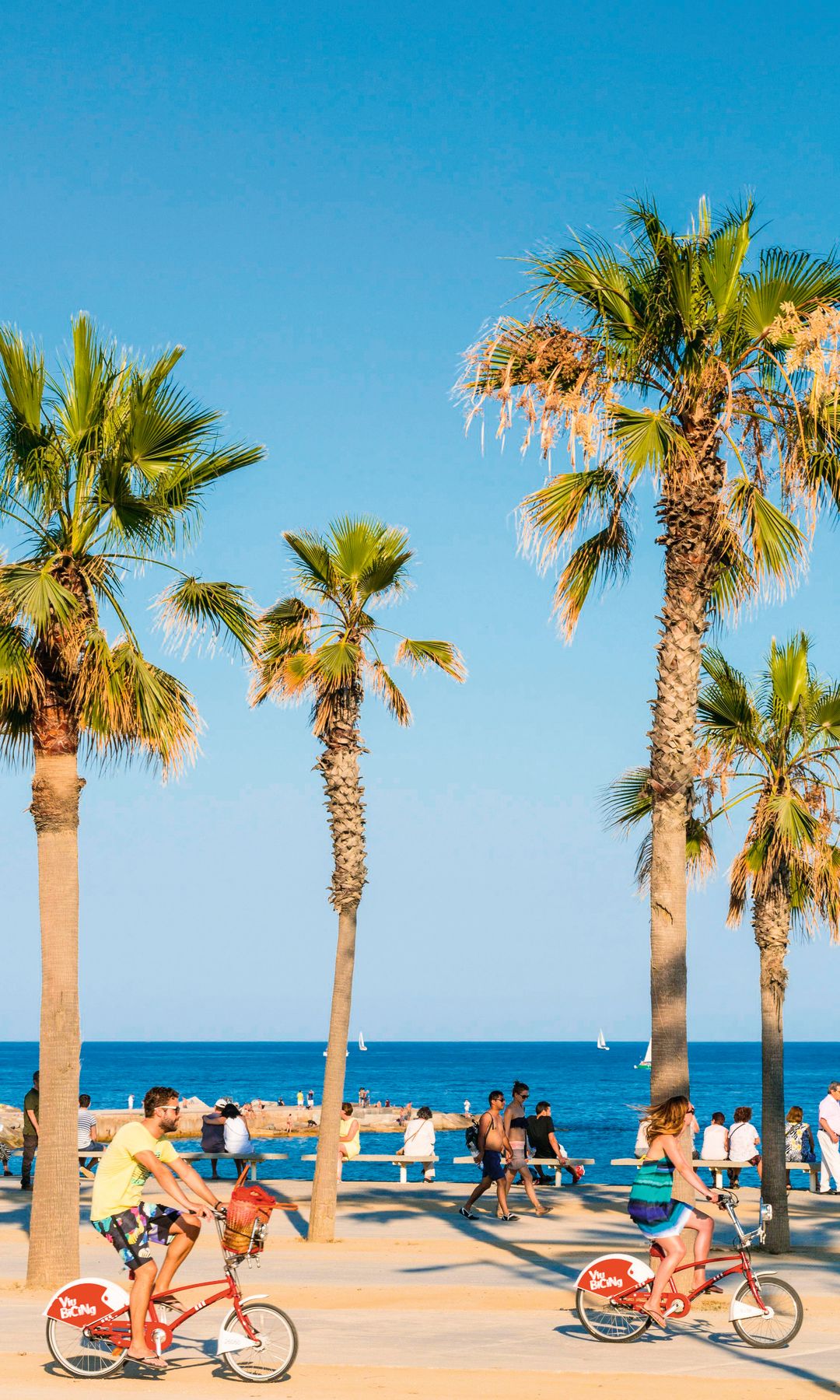 La Vila Olimpica del Poblenou, playa Bogatell en Barcelona, bicicletas y palmeras.