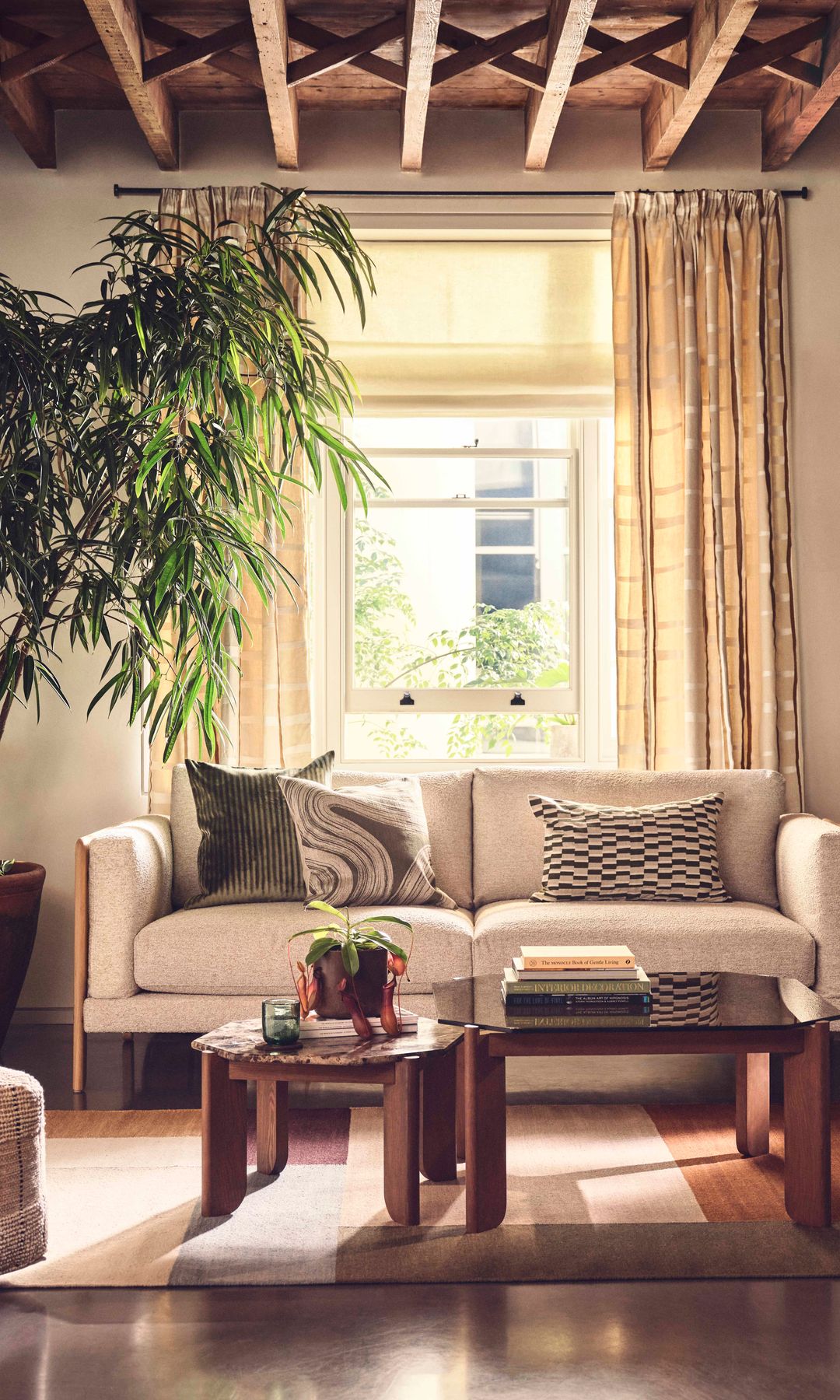 Salón con sofá blanco, cortinas y estor, planta alta en maceta, alfombra, techo de madera