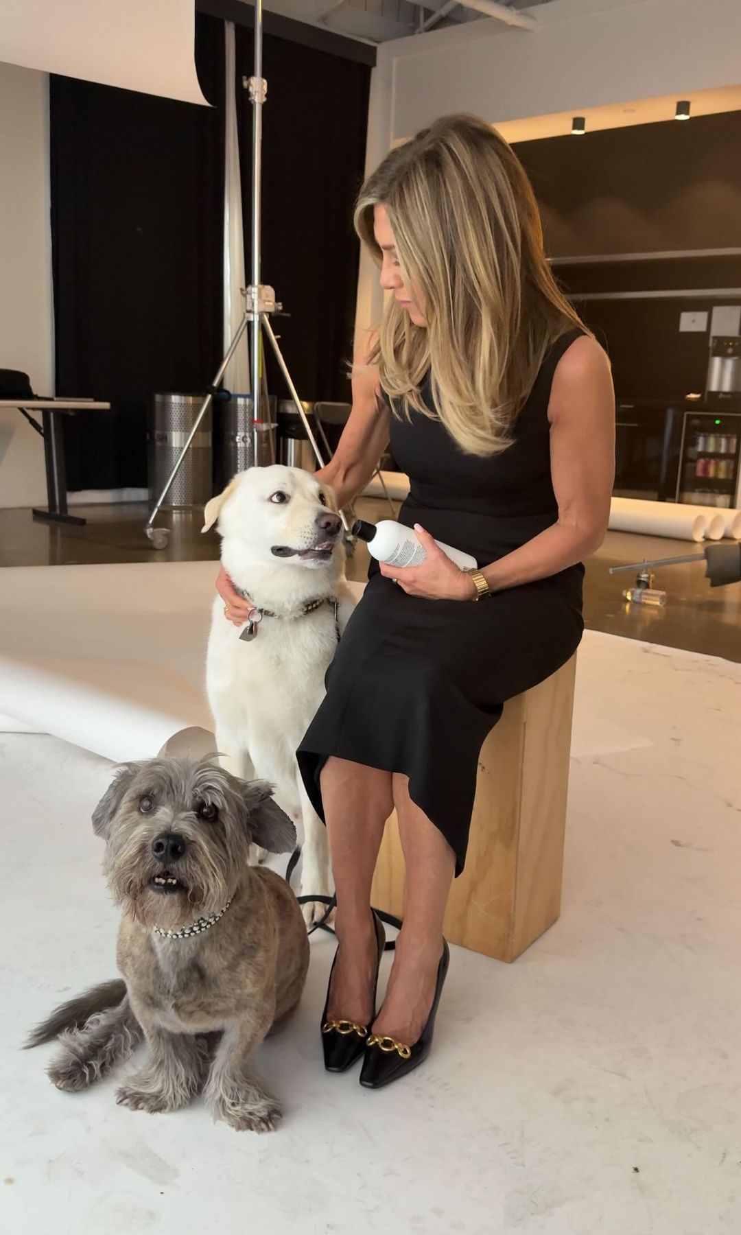 Jennifer Aniston posando con sus perros en una publicidad para Lolavie