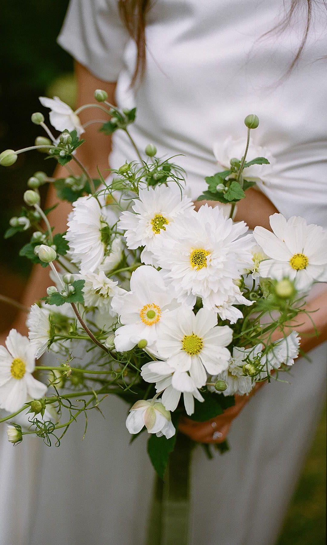 Flores de otoño para decoración de bodas anémonas japonesas