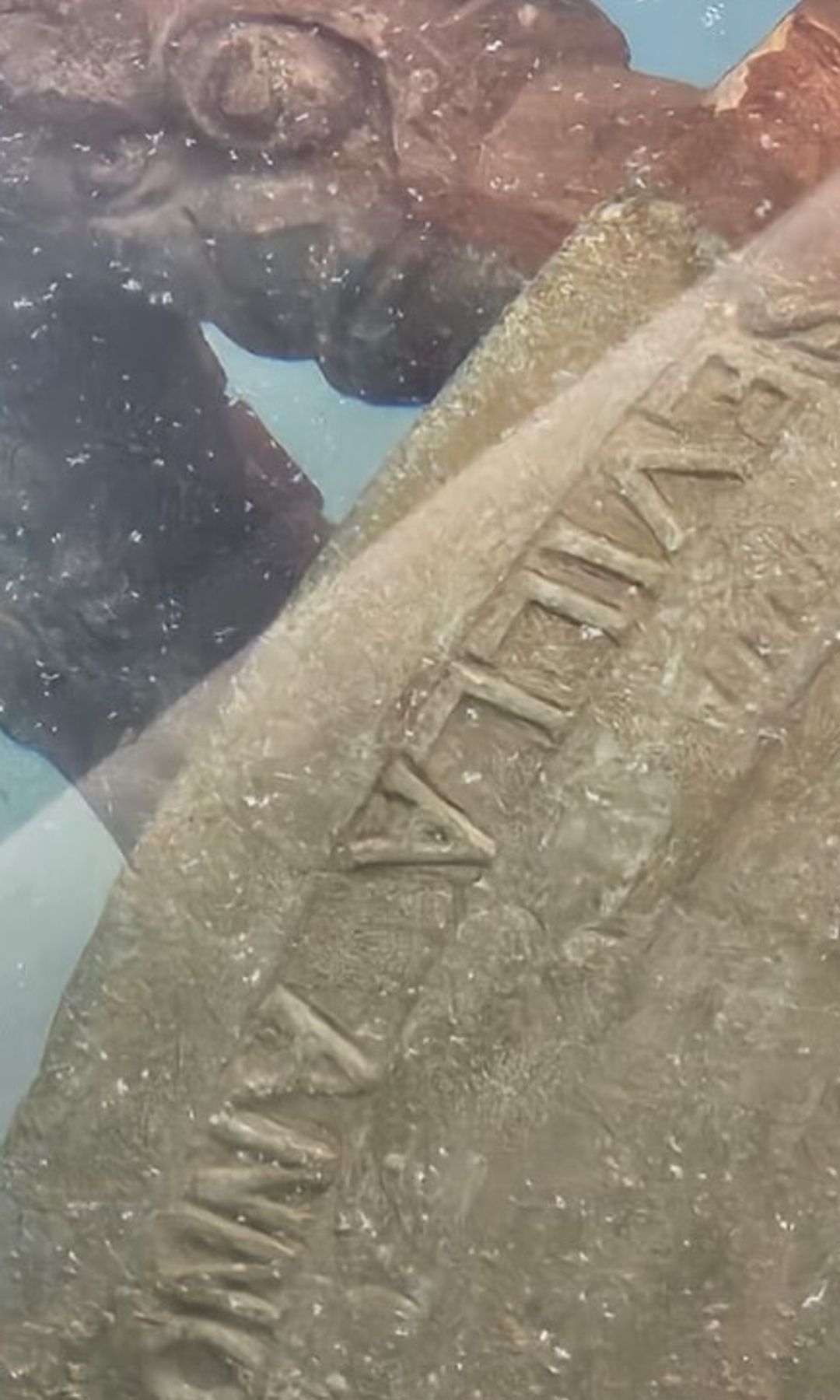 Los cañones de bronce del galeón San José, decorados con figuras de delfines y criaturas mitológicas, fueron clave para confirmar la identidad del naufragio
