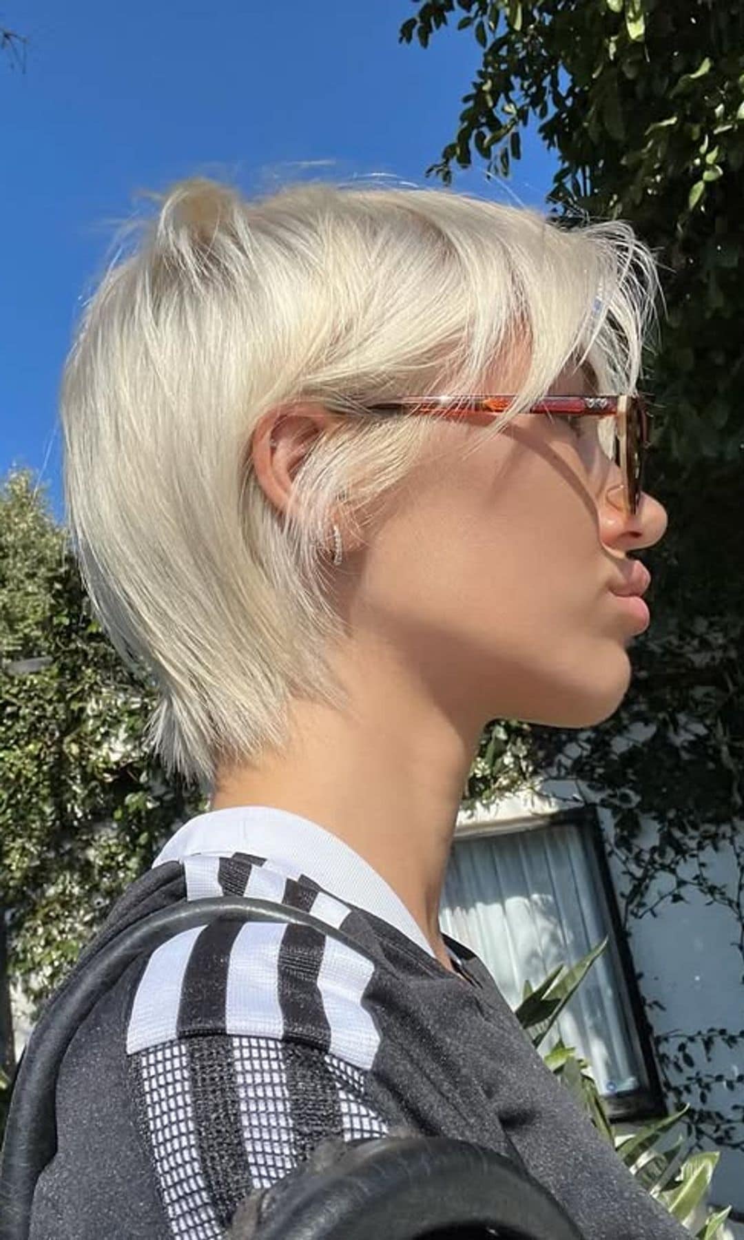 Cortes de pelo corto