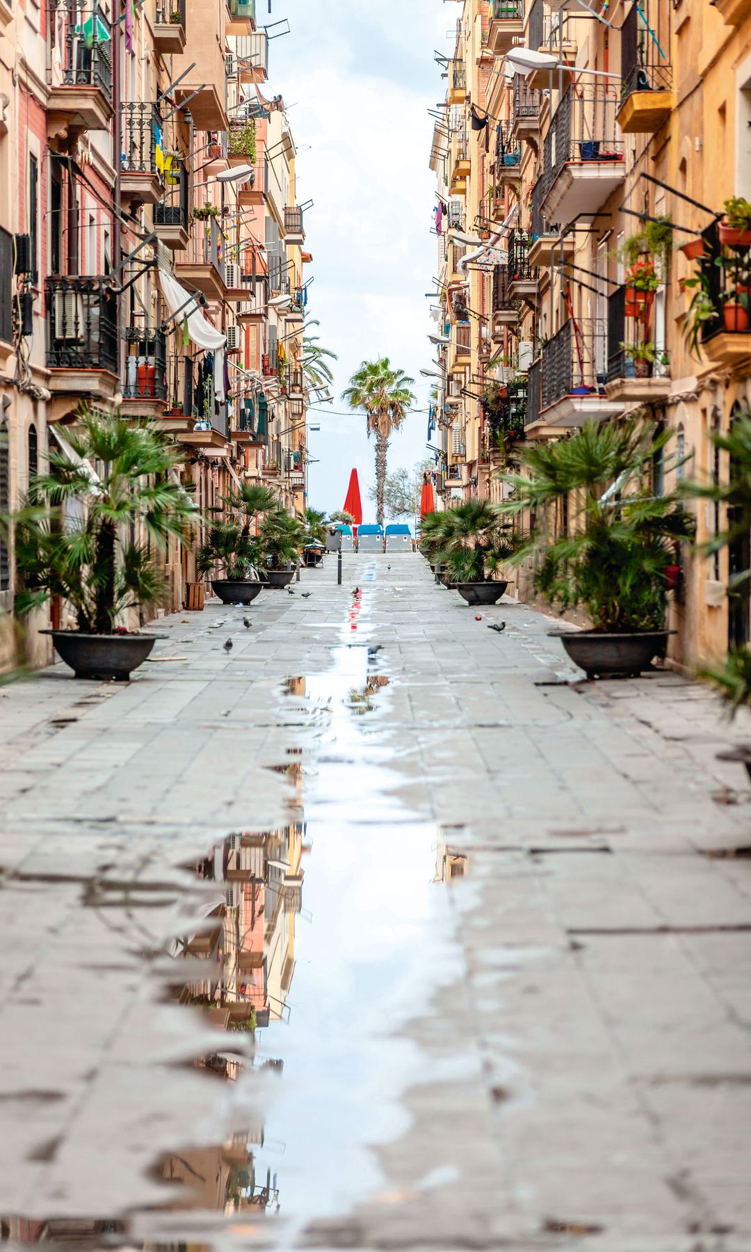 La calles del barrio. La Barceloneta, Barcelona