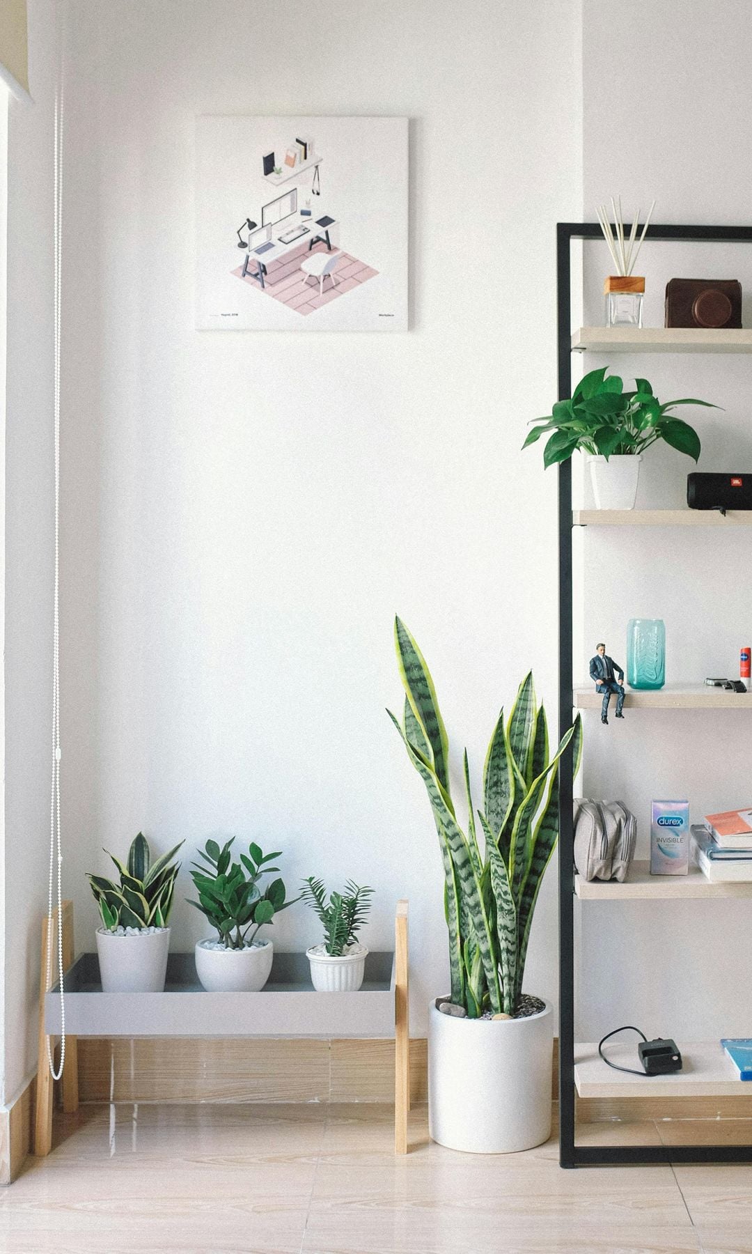 Estantería con estructura metálica negra y baldas blancas con libros y plantas, sanseviera en el suelo y jardinera con patas con varias macetas blancas