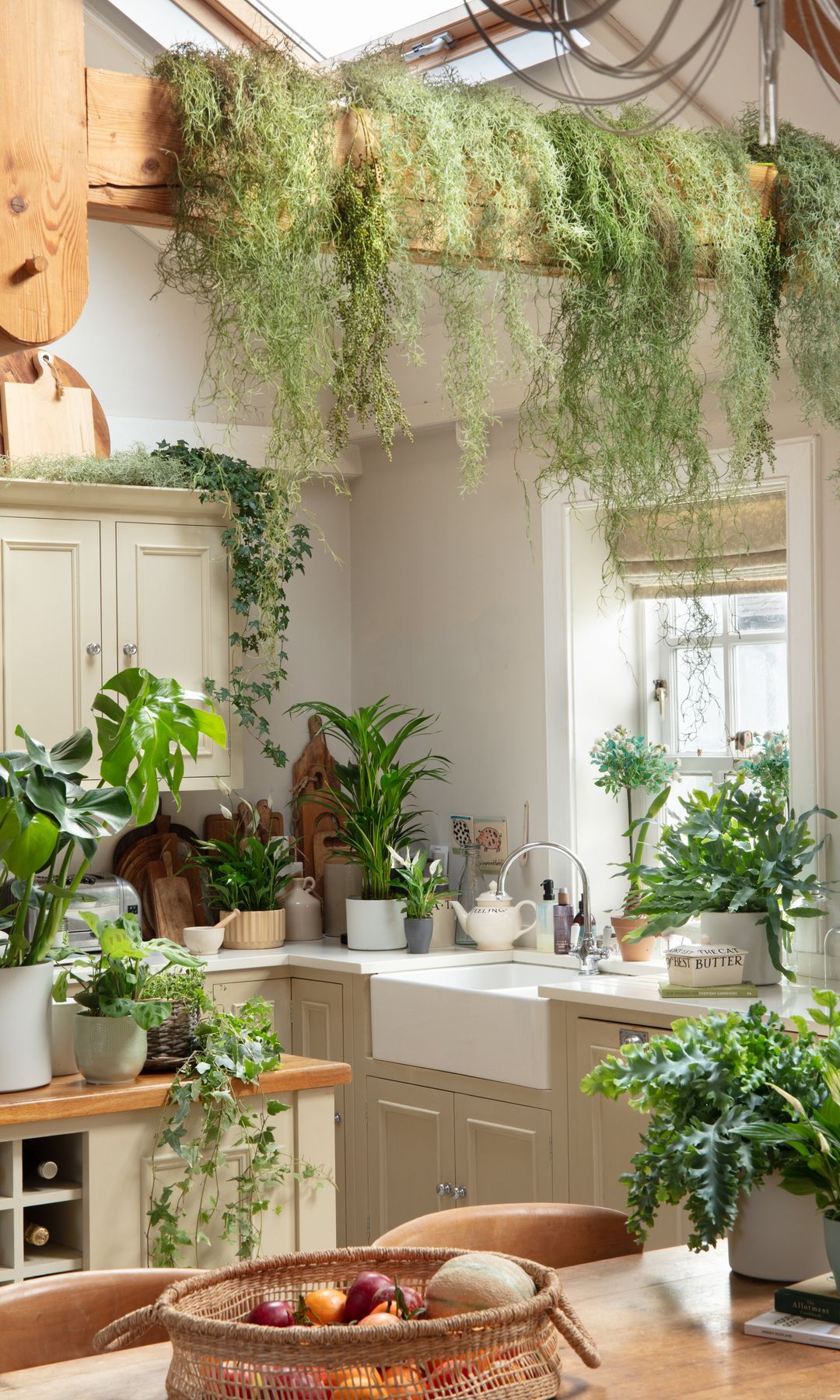 Cocina llena de plantas colgantes y sobre la encimera 