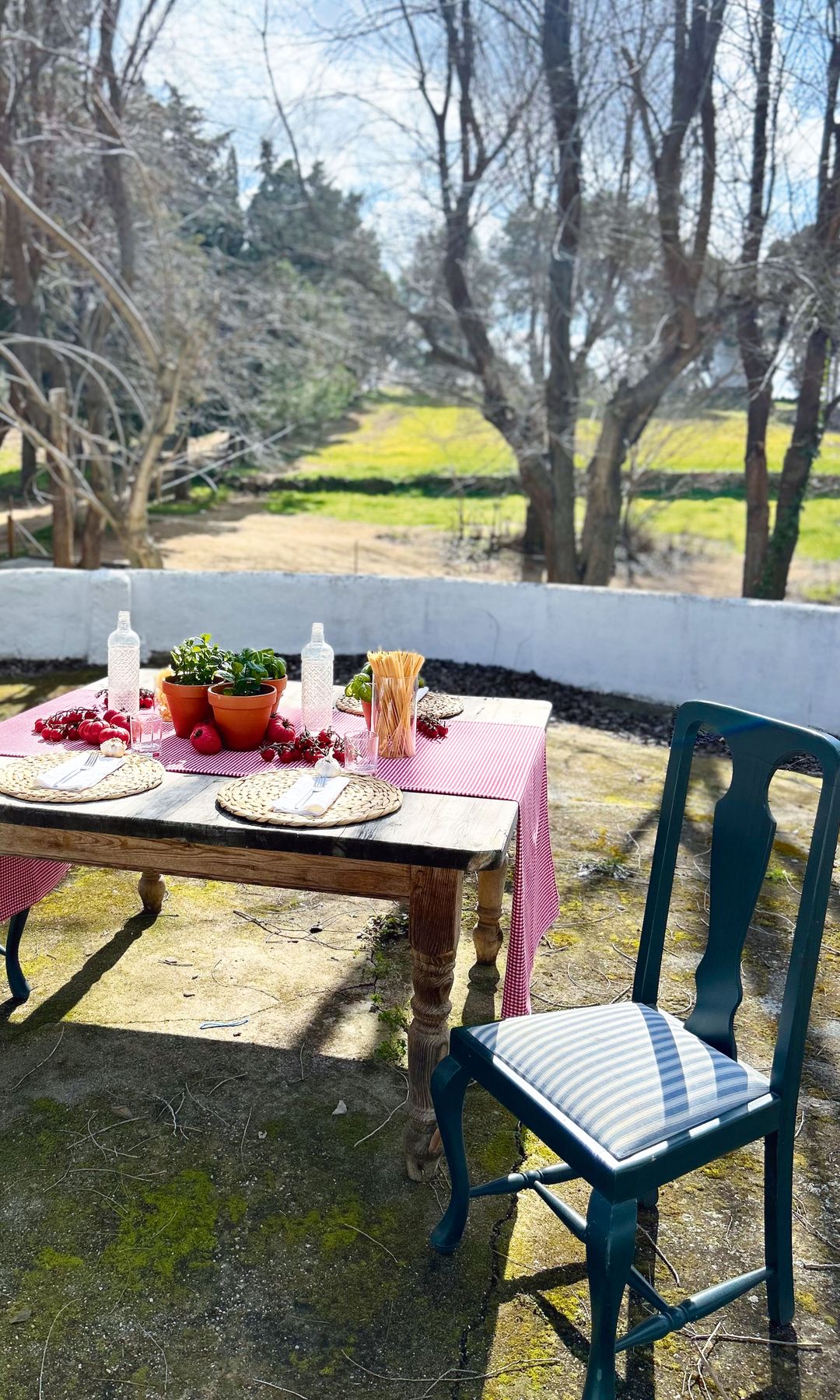 UNA MESA ITALIANA Plano general de la mesa a la italiana con mantel de cuadros del Rastro, sillas de comedor de rayas azules y plantas de albahaca para decorar