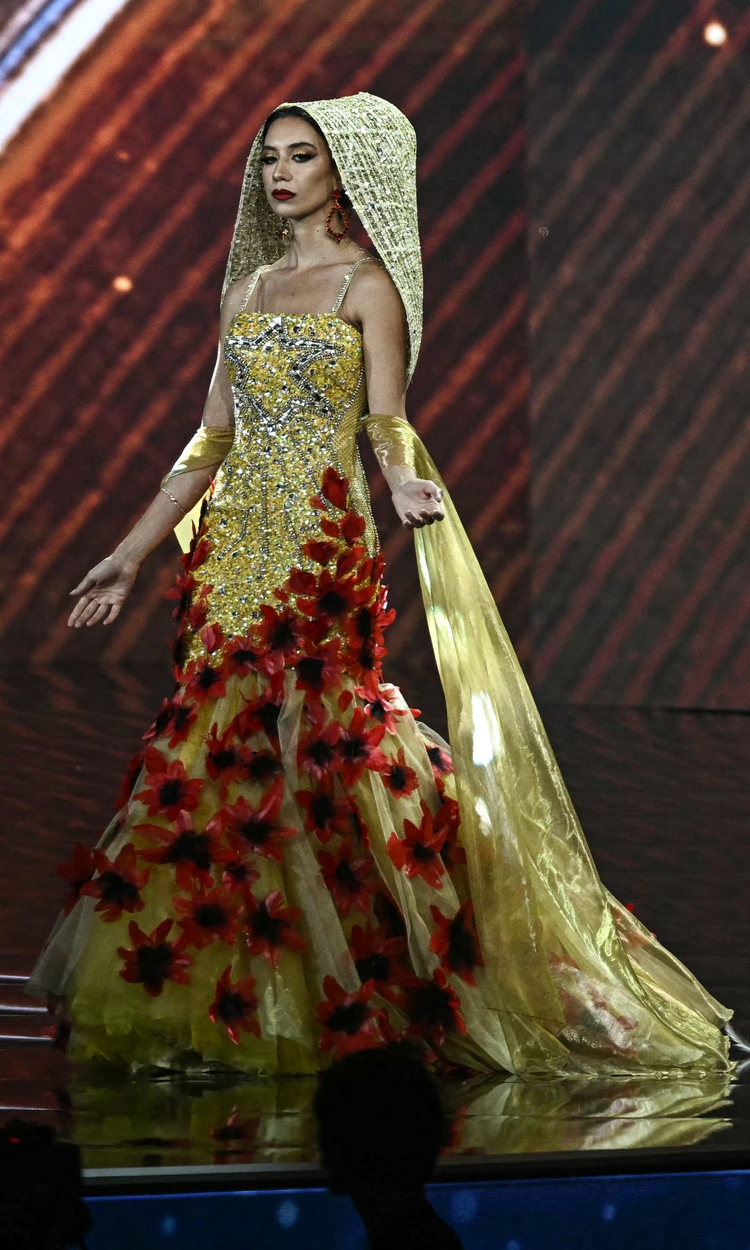 Miss Irlanda Miss Universo 2025