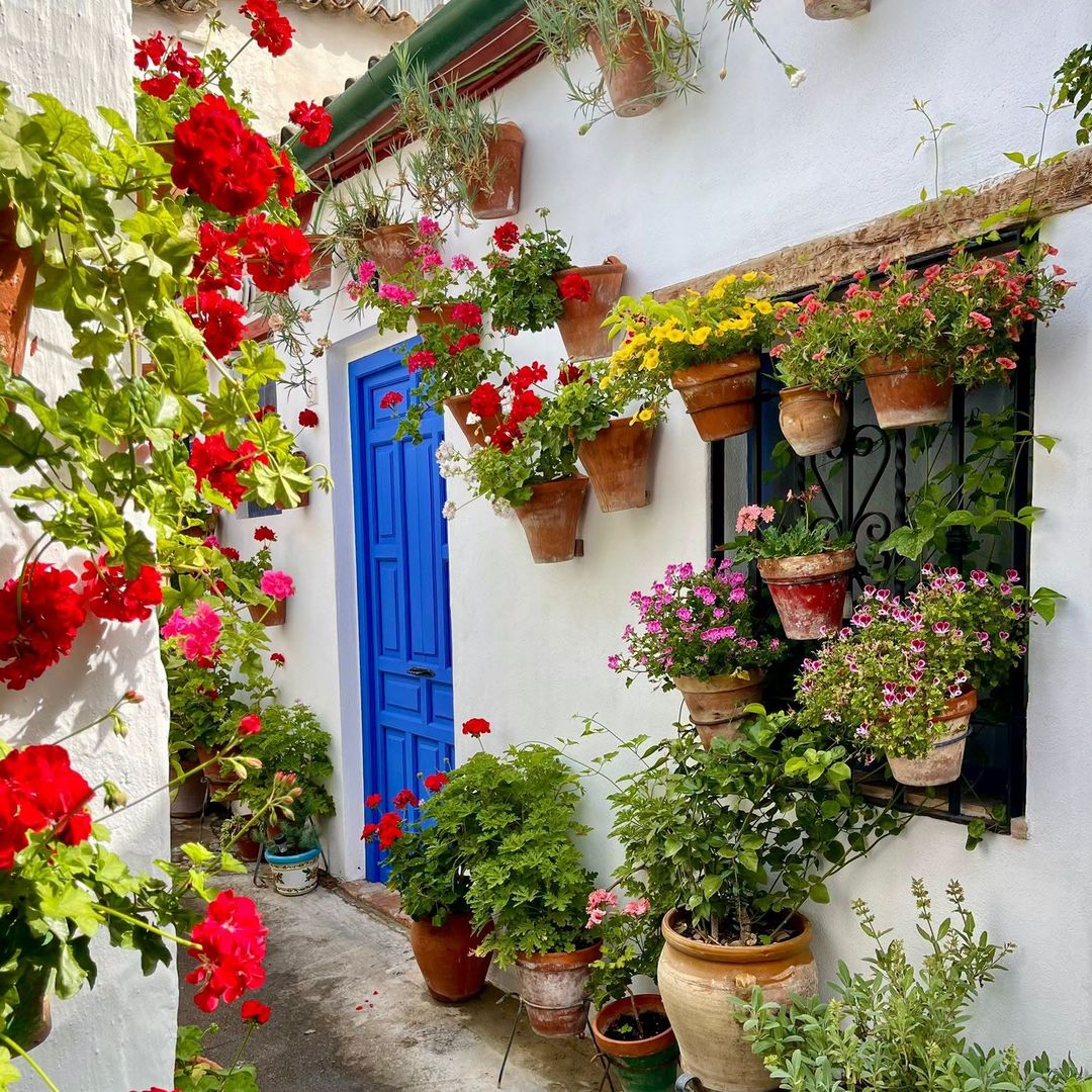 Las flores decoran las calles de Córdoba
