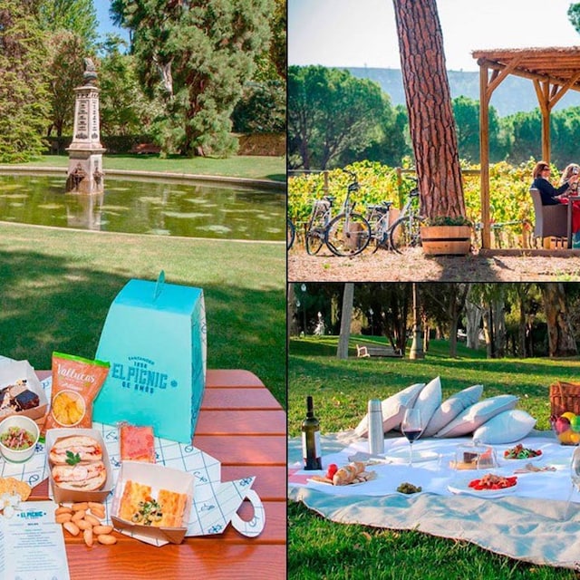 hola.picnic.portada