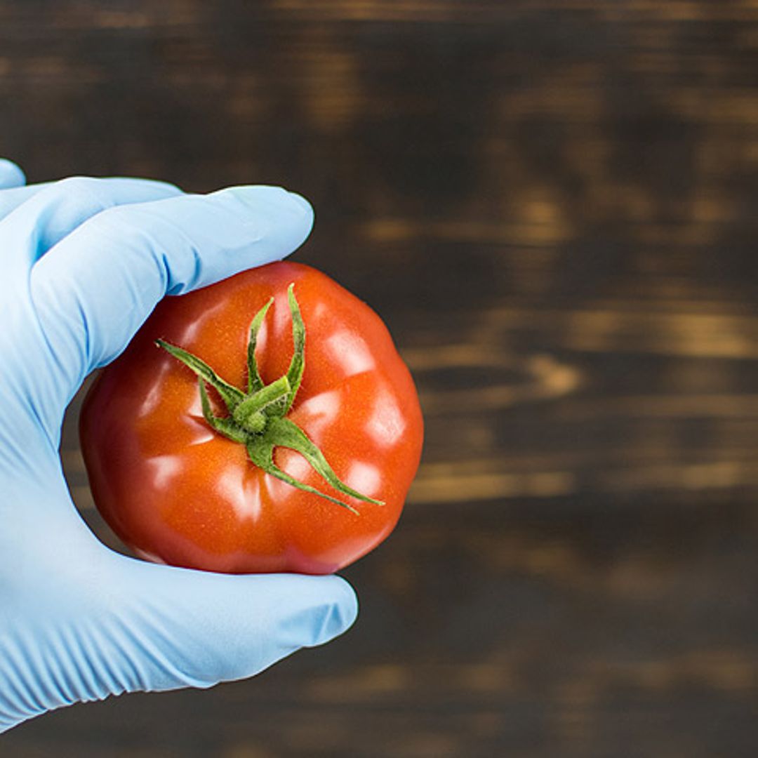 ¿Cómo afecta la contaminación ambiental a los alimentos?