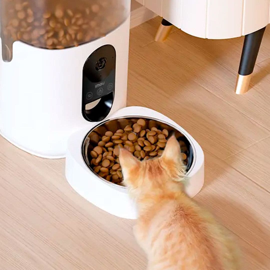 Nunca pierdas de vista a tu mascota con estos comederos automáticos con cámara