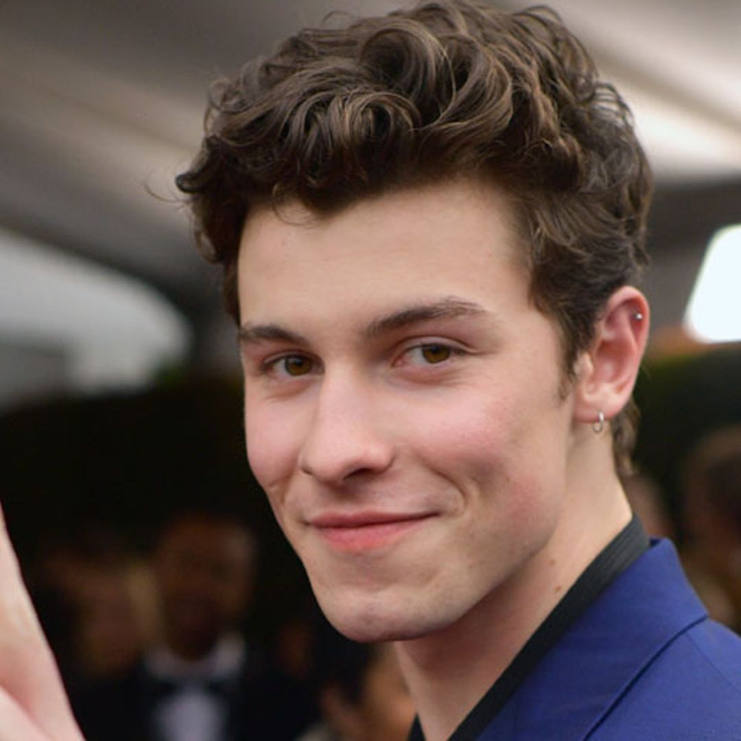 Modelo de ropa interior: el posado viral de Shawn Mendes con más de 7 millones de 'likes'