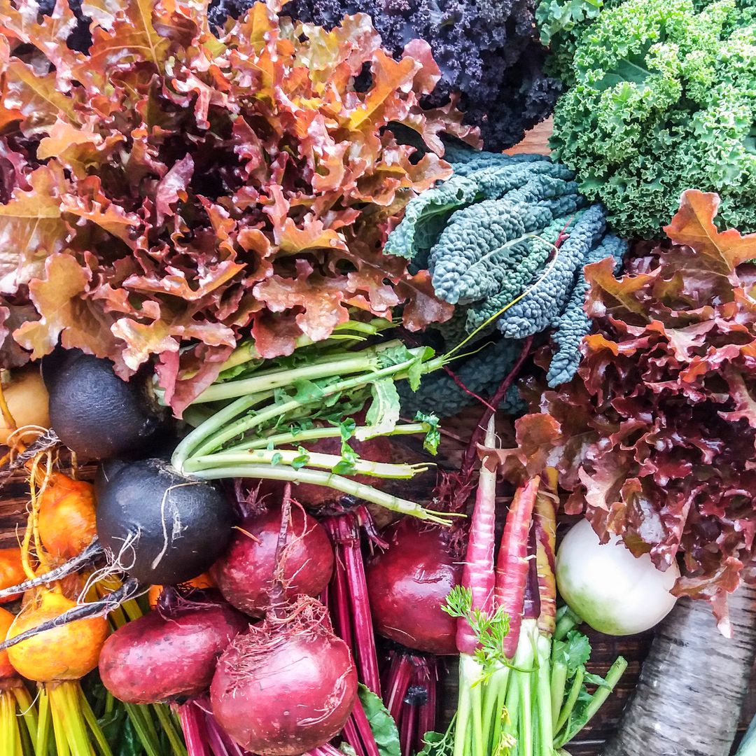 Con agua salada y arena de playa: la milenaria técnica de cultivo en Sanlúcar de Barrameda que revoluciona la agricultura