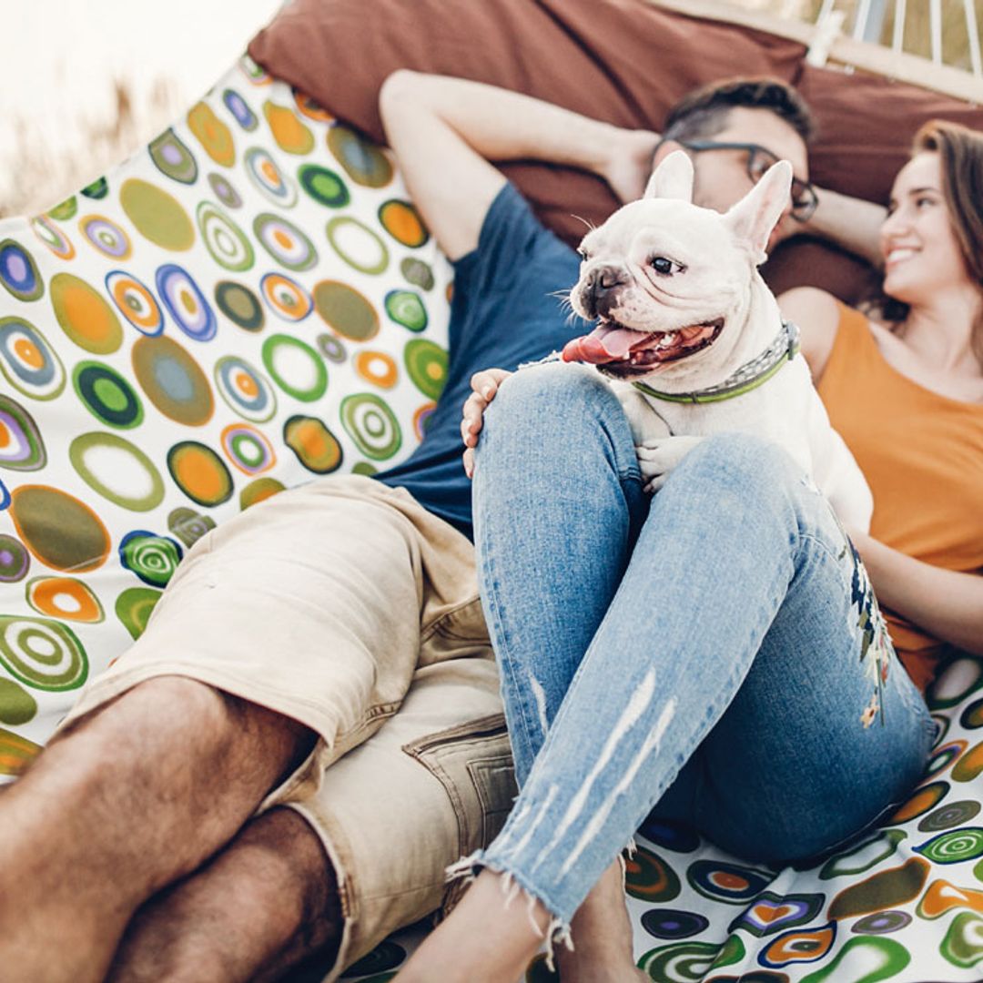 La guía más completa para viajar segura con tu mascota