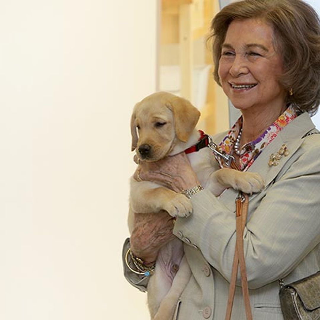 'Royals', aristócratas, actores... ¡todos ellos adoran a sus mascotas!