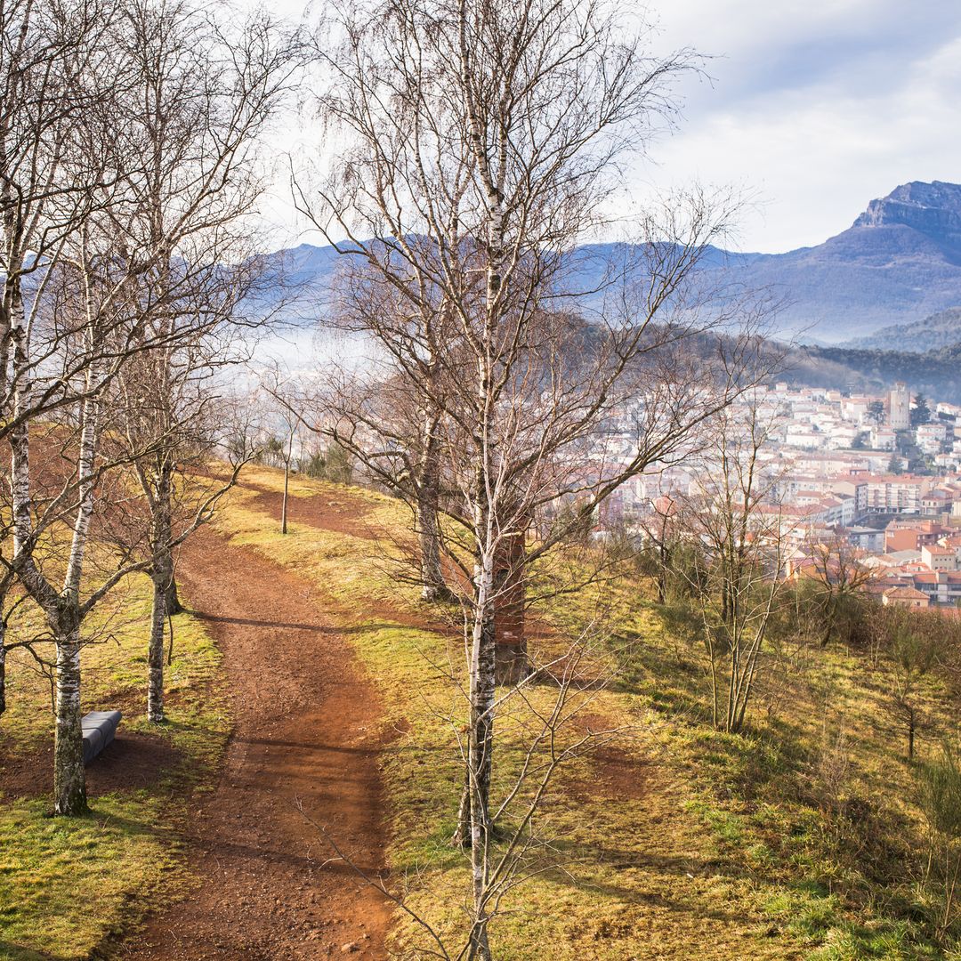 Panorámica de Olot desde el volcán Montscaopa, Garrotxa, Girona