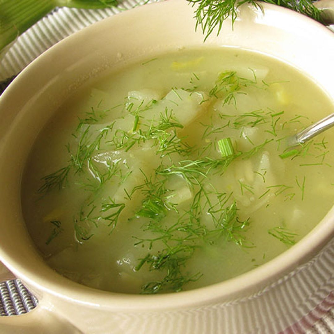 Sopa de hinojo