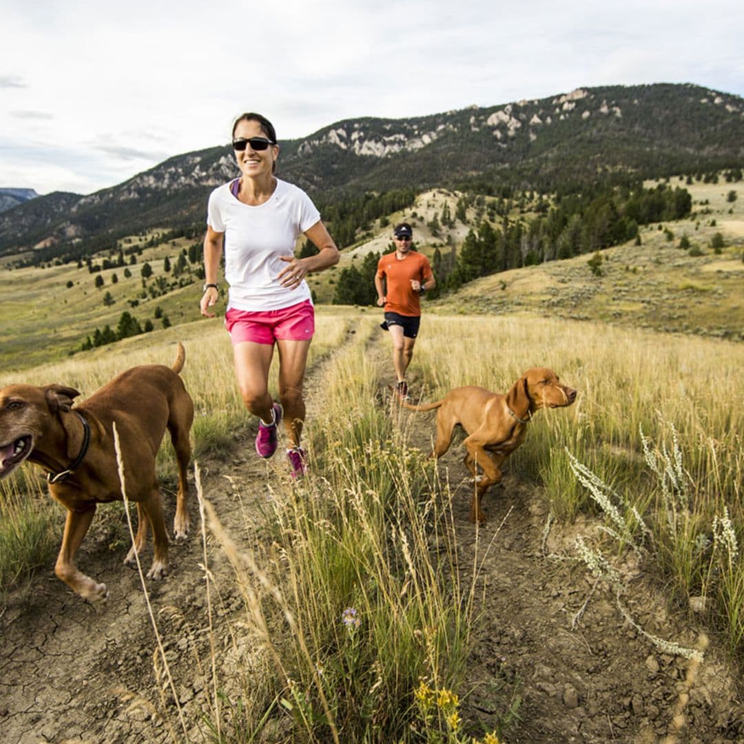 ¡Que el calor no te pare! Consejos para entrenar con tu mascota en los meses de verano