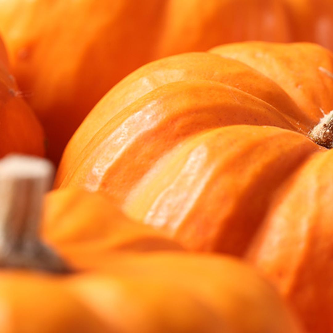 En Thermomix: delicioso y sano bizcocho de calabaza