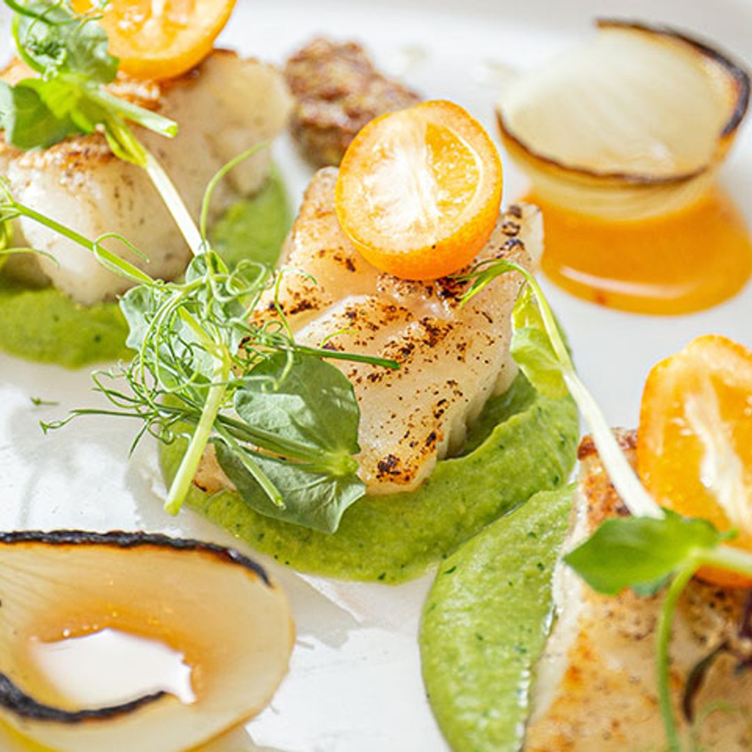 Bacalao con salmorejo y pesto