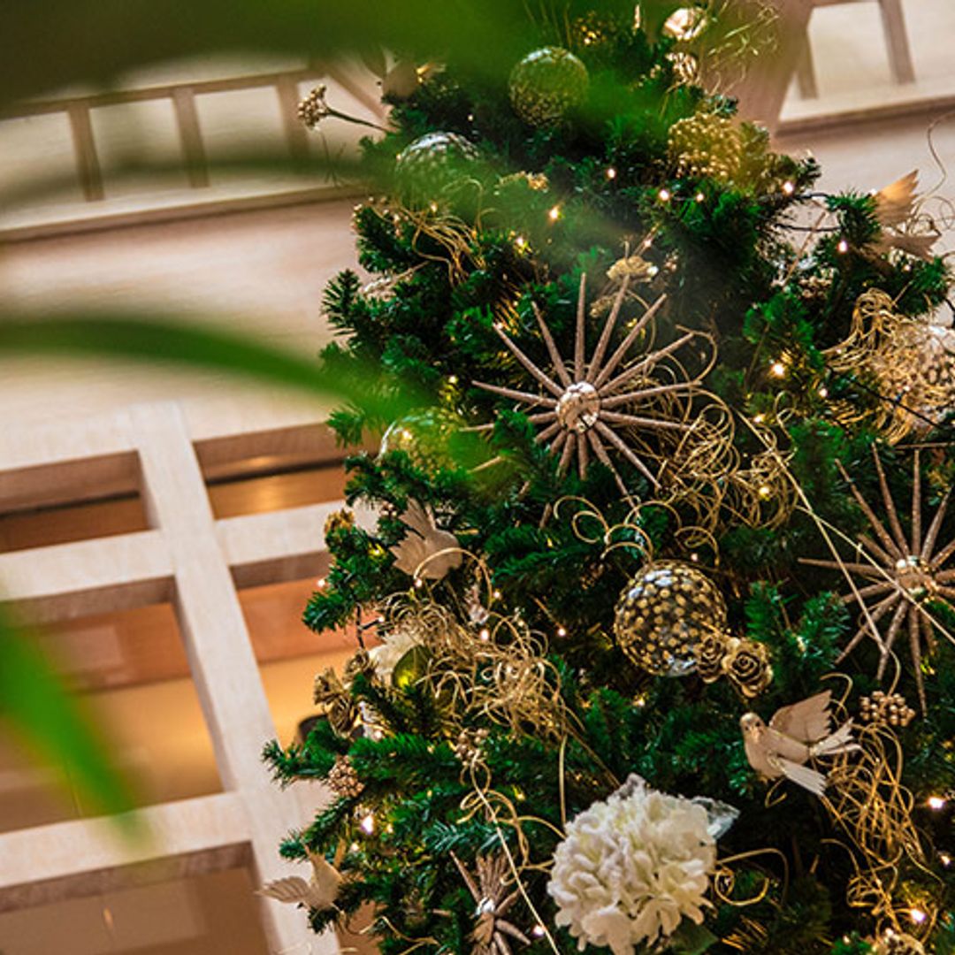 Madrid en Navidad, una gran fiesta para vivirla y compartirla