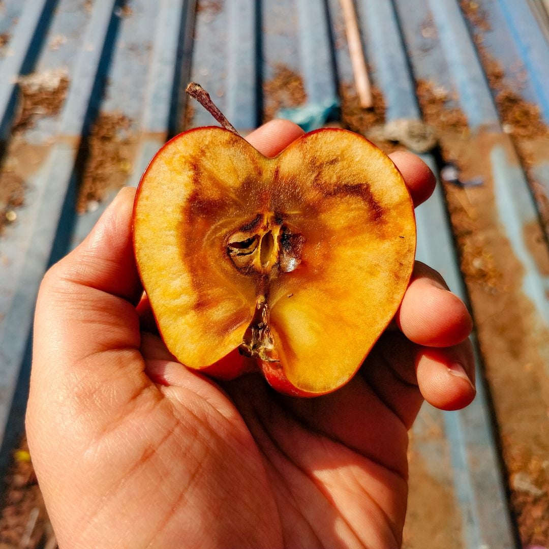 Trucos para evitar que la fruta se oxide: fáciles, sencillos y que funcionan