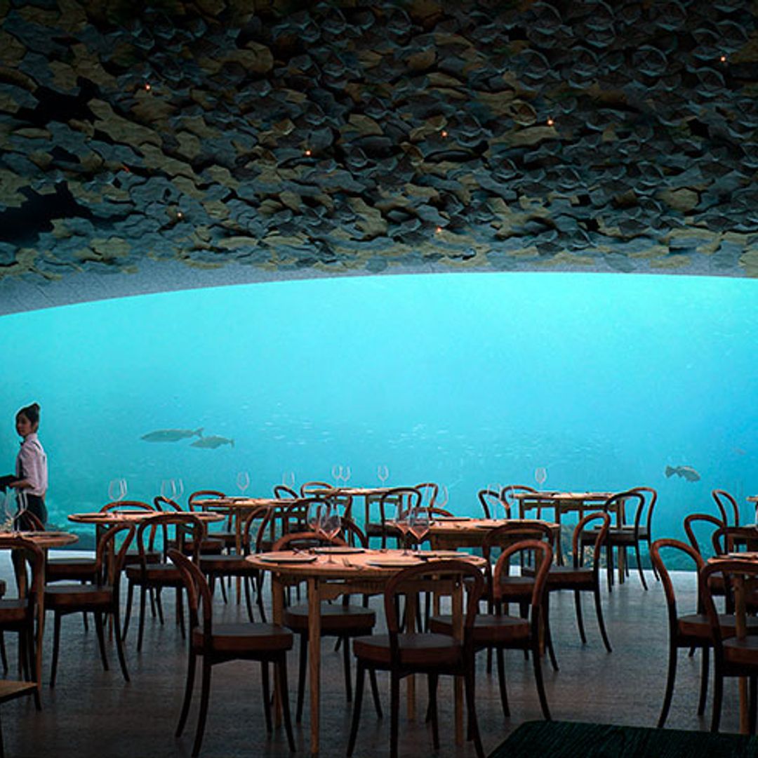 Under, el restaurante de Noruega sumergido en el mar