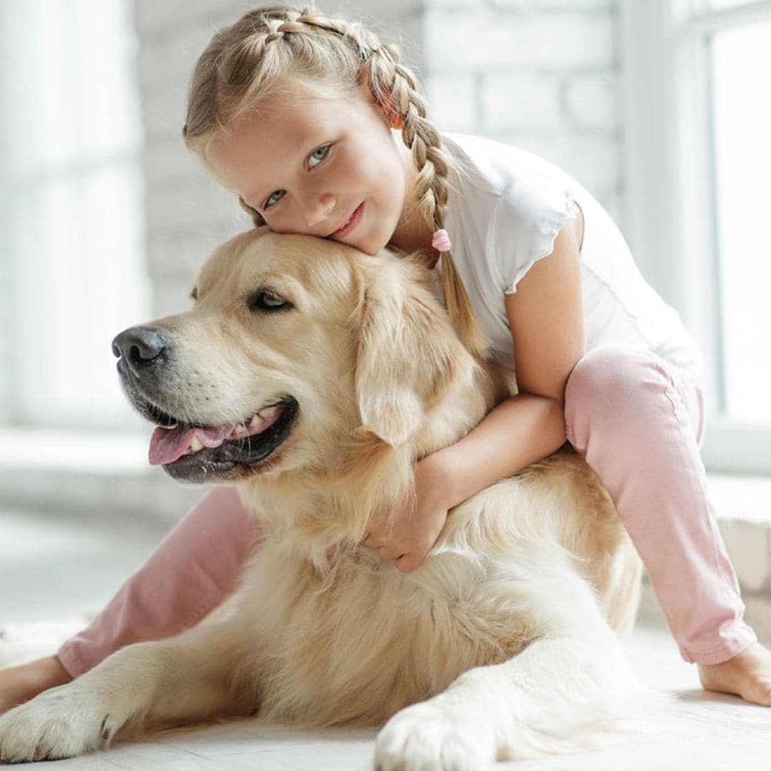 Razas de perro dóciles, ideales para principiantes y familias con niños