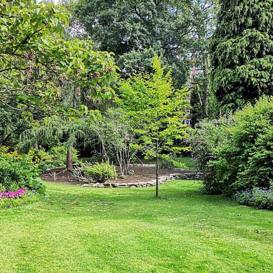¿Sabes qué son los niveles del jardín? Te lo contamos, y también cómo equilibrarlos