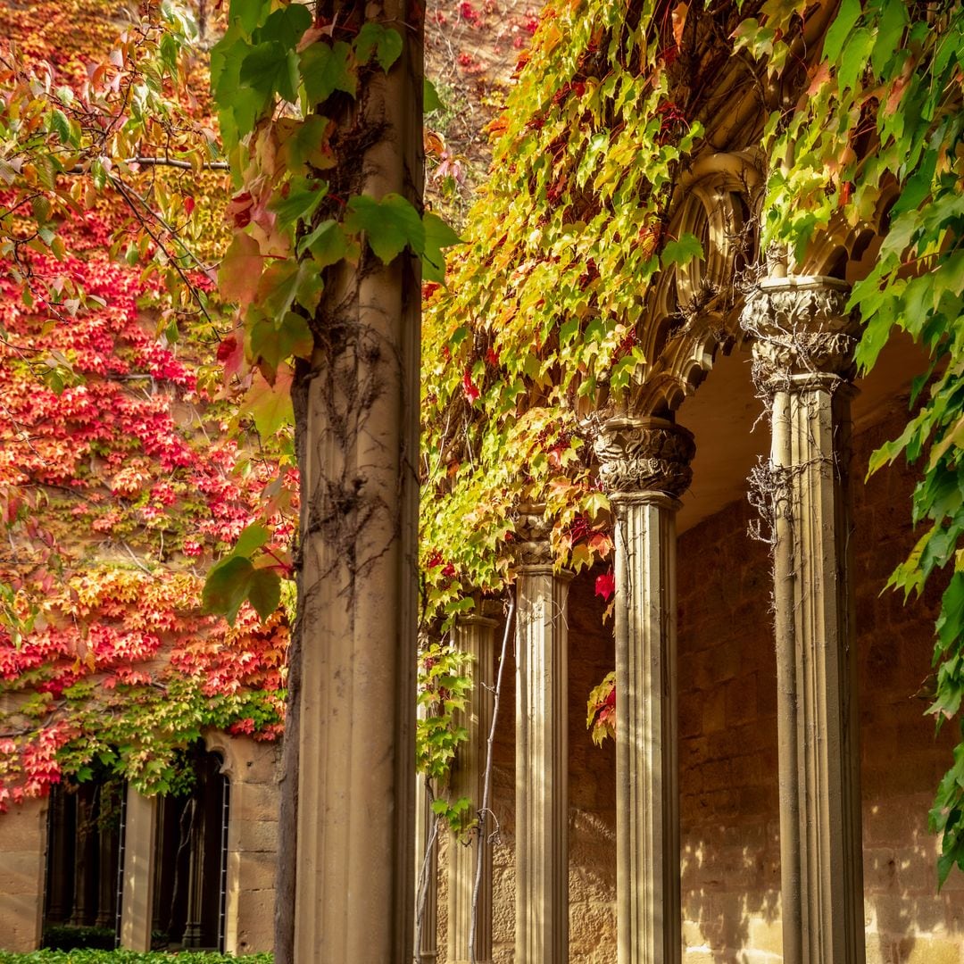 Patio del castillo palacio de Olite en otoño,Navarra