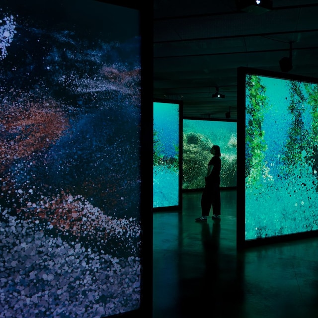 Exposición inmersiva en el espacio Telefónica, Ecos del Océano
