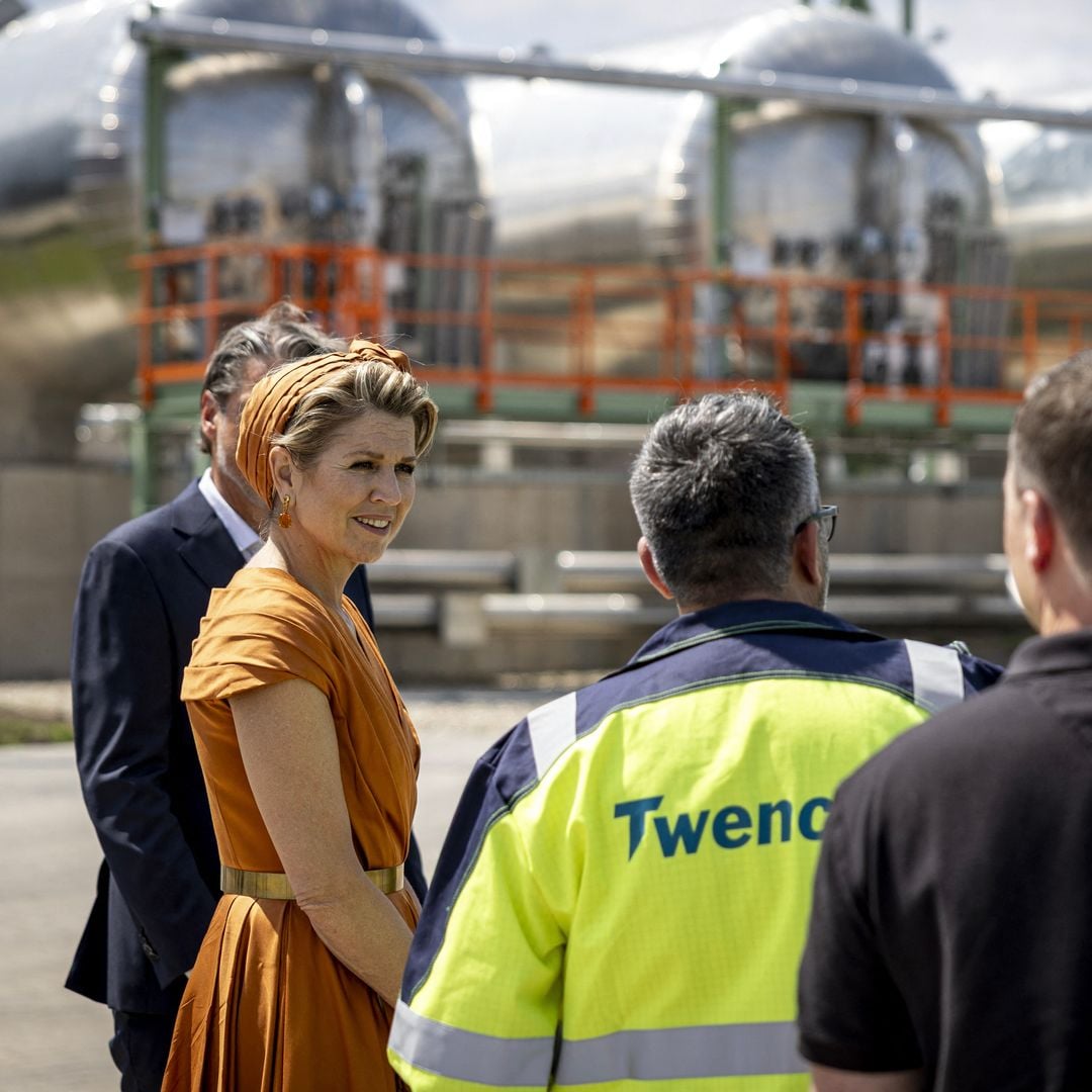 Máxima de Holanda acompañó el vestido con un tocado a juego.