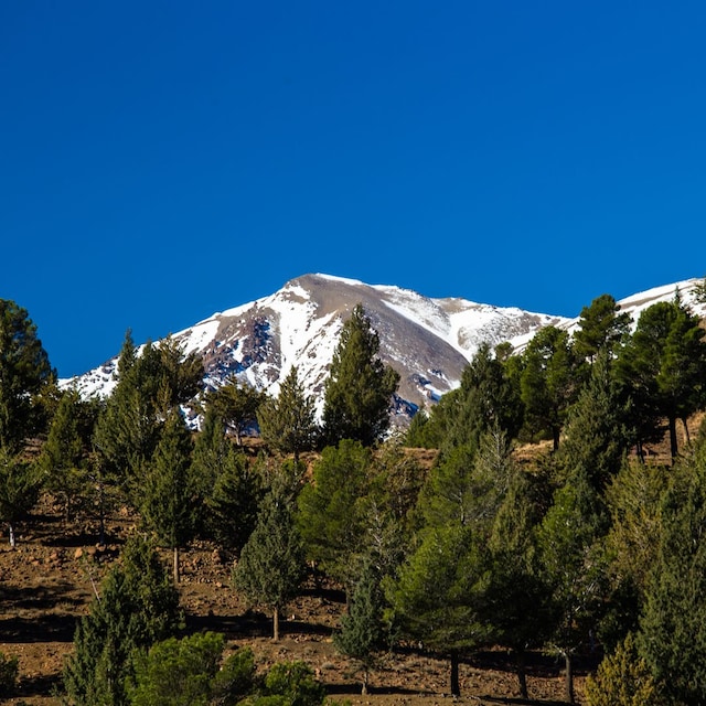 Paisaje en Ifrane, Marruecos, una zona conocida como la Suiza marroquí