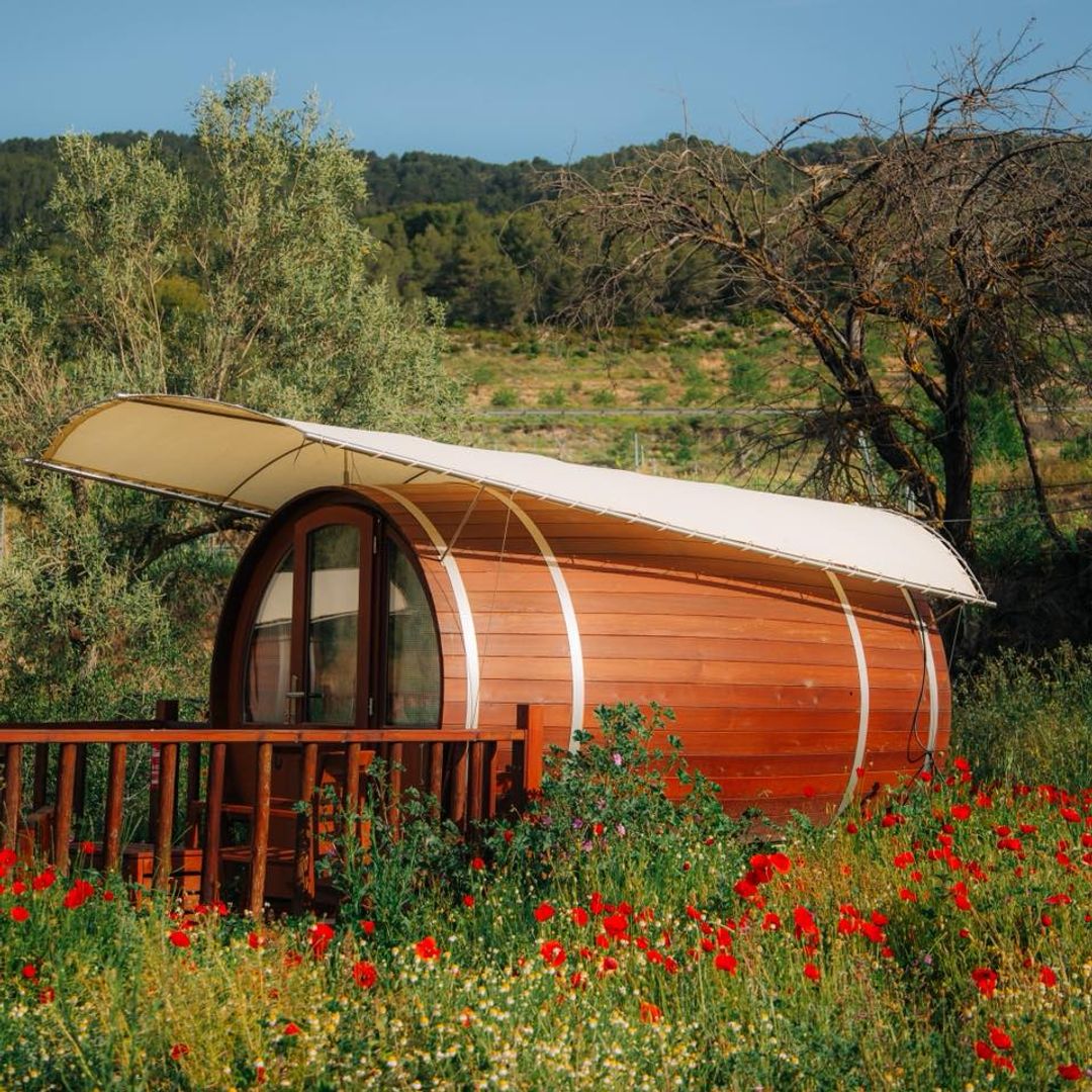 Barrica Finca Seguró, Alicante