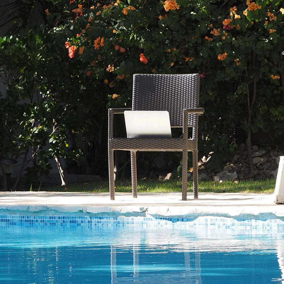 Estas son las plantas perfectas para crear un jardín en torno a la piscina