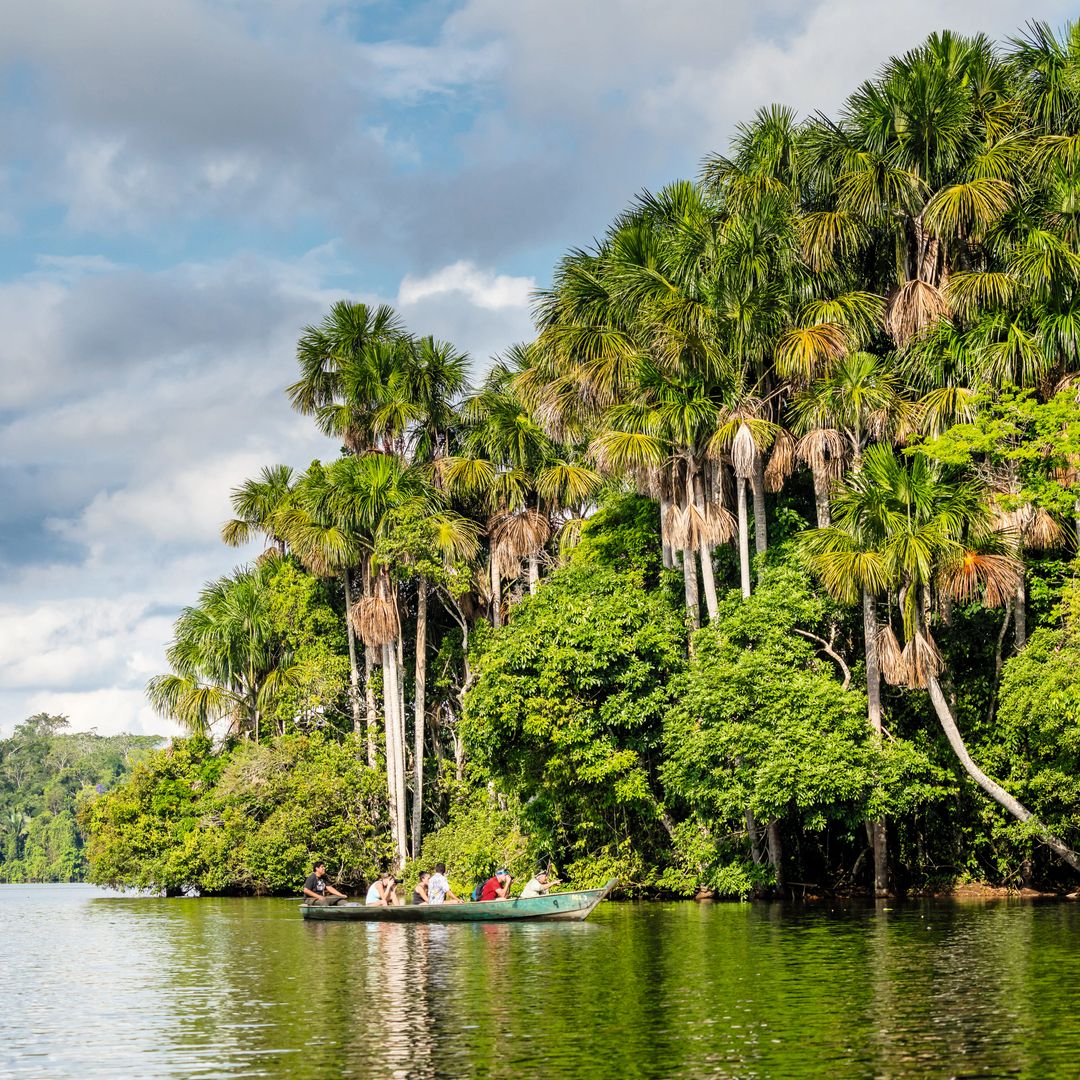 Excursión en el lago Sandoval, en Puerto Maldonado.