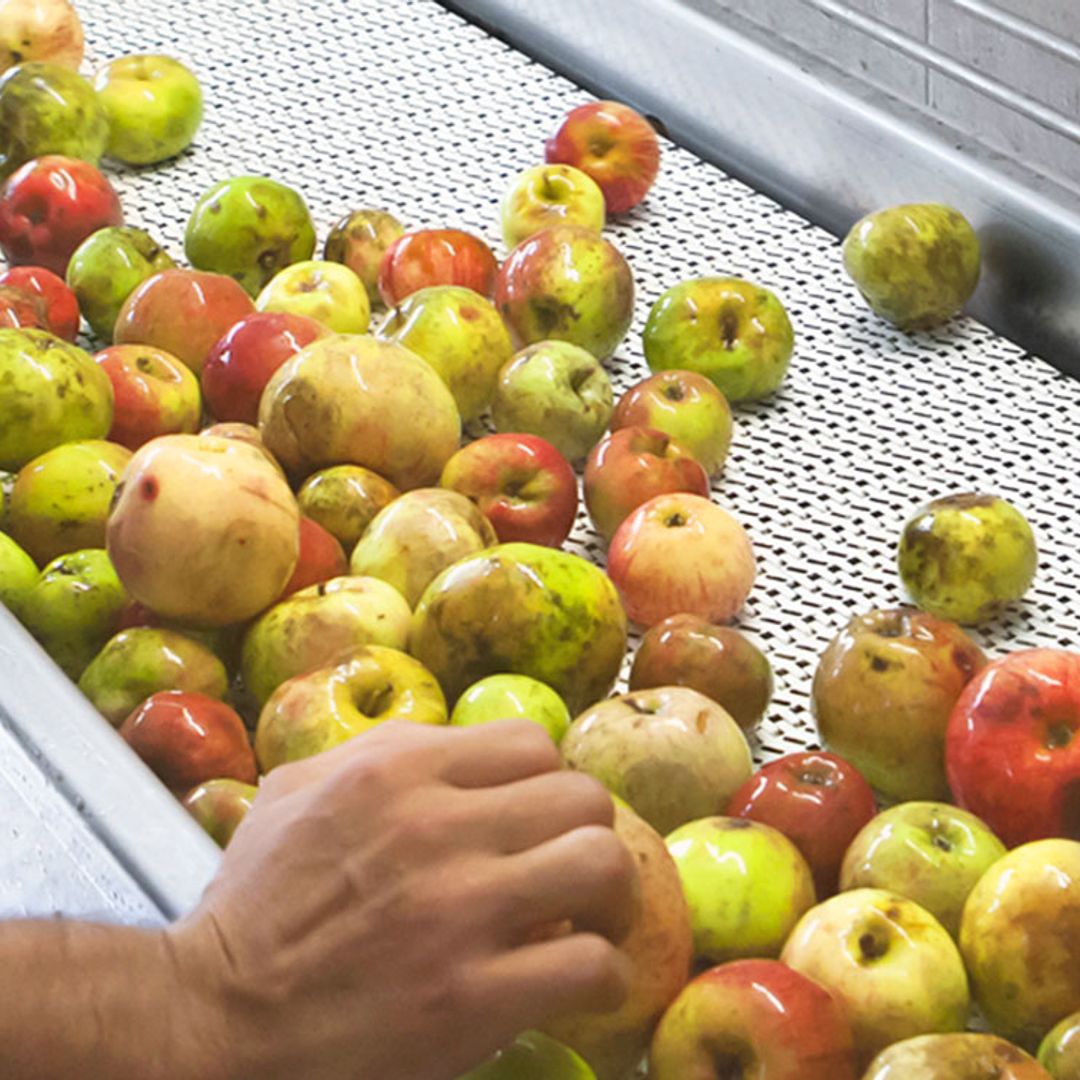 La sidra ecológica se abre camino